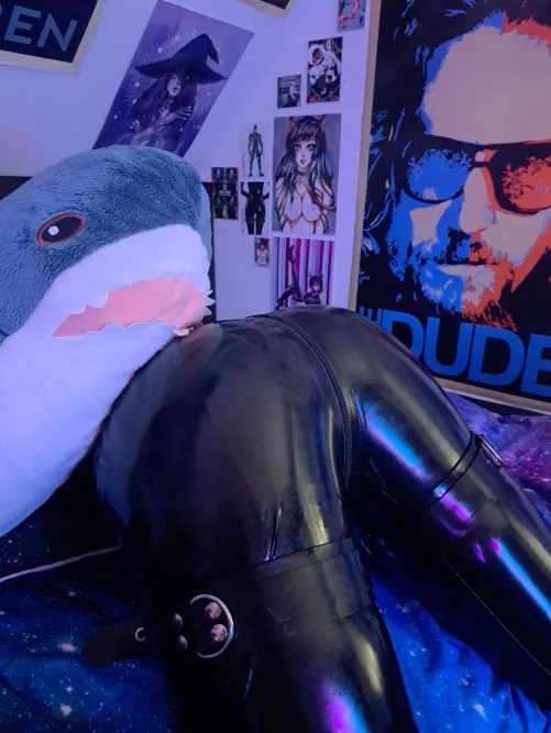 He likes shiny stuff too by Goerlich