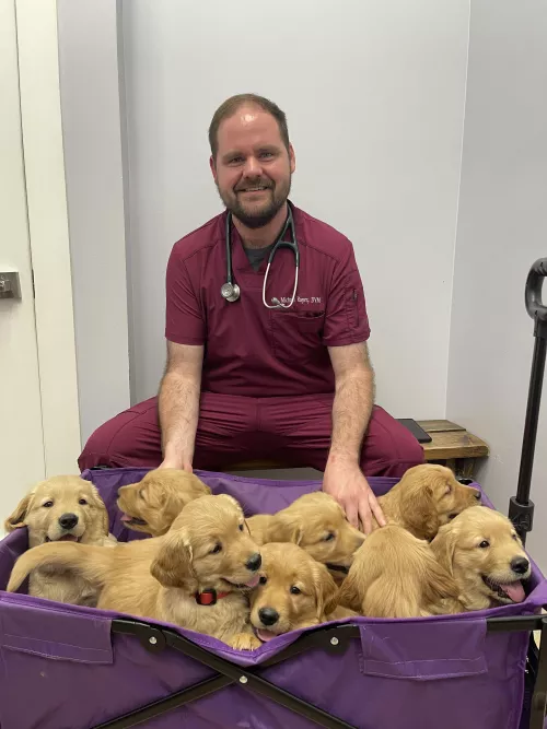 I love my job! by TravelinVet