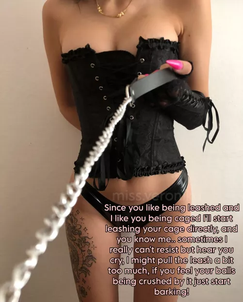 Leashed cage is a good idea don't you think? by Miss_Veronika