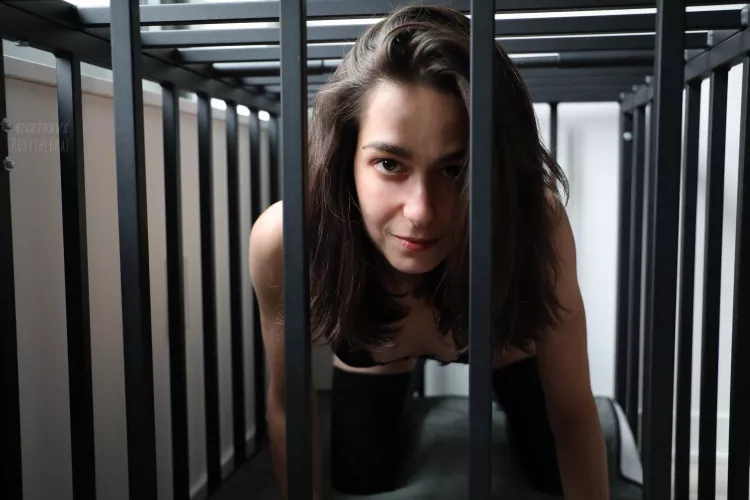 Predator or prey? by roxythebrat