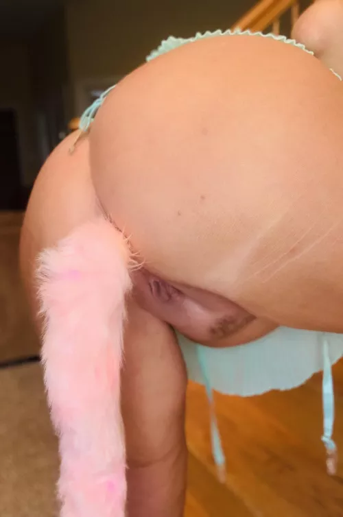 Replace my tail or keep it in by SmashvilleOFMilf