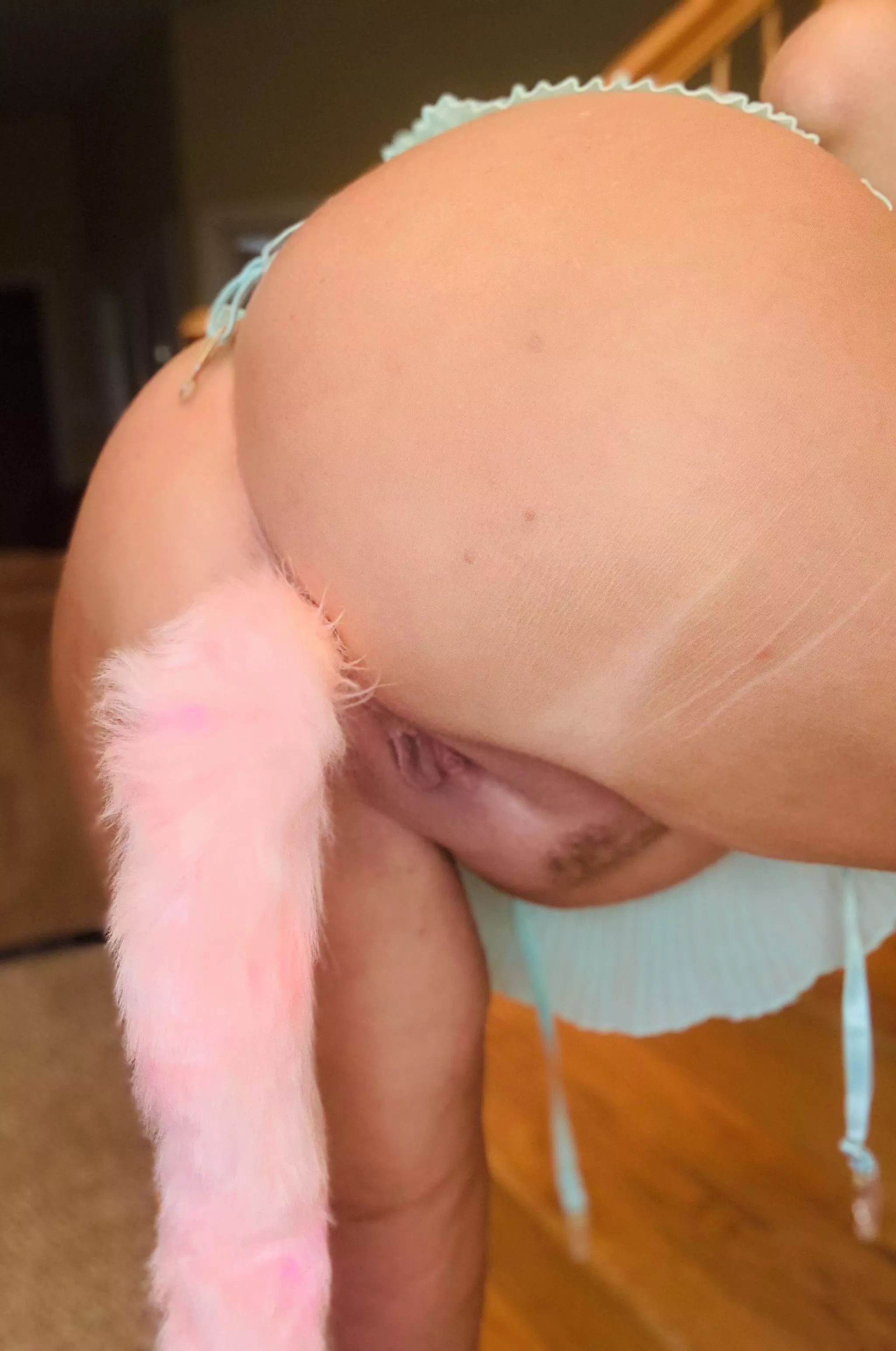 Replace my tail or keep it in posted by SmashvilleOFMilf