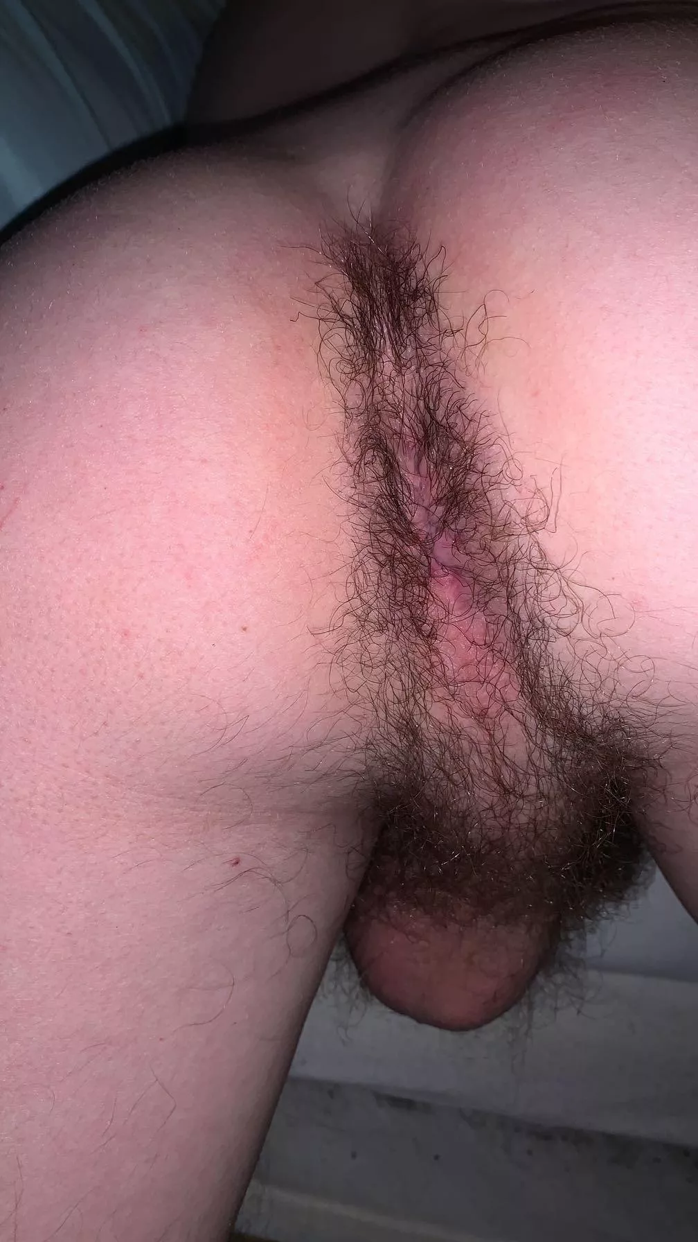 Still waiting to be cuddled please🙄 posted by slytherinwizard