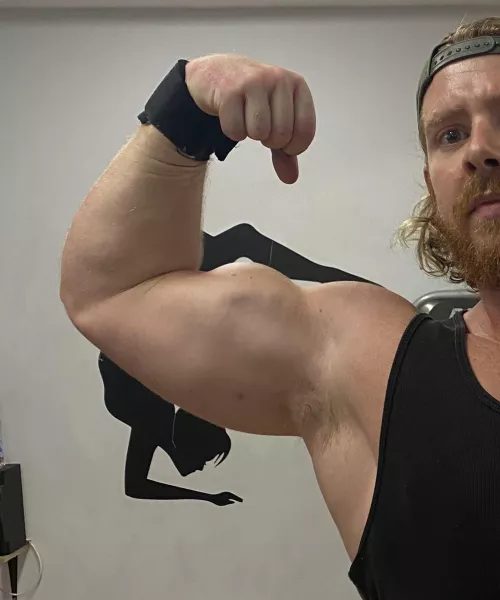 Wanna play with these pits? by Bearded_alpha1