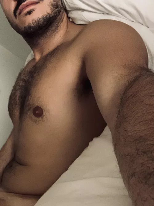 33yo sexy hairy italian stud. send face with age & location to get added. d_stud1989 by Kooky-Reflection-500