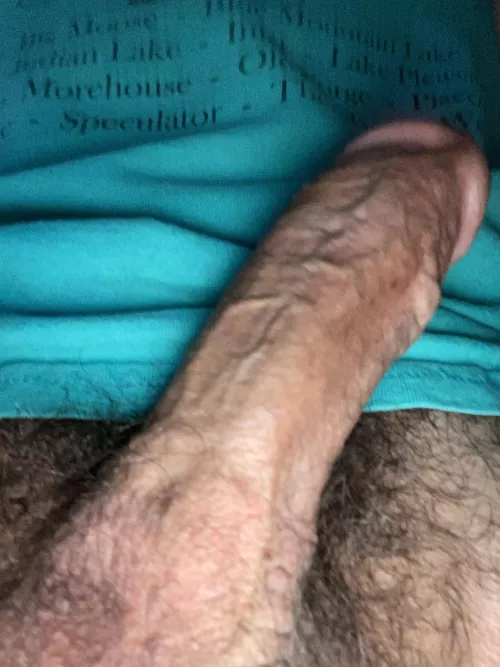 (63)and veiny hard. DM’s always open… by ramrod4u00069