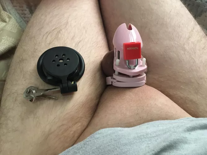 All locked up which one do you think would look better by DismalDragonfruit366