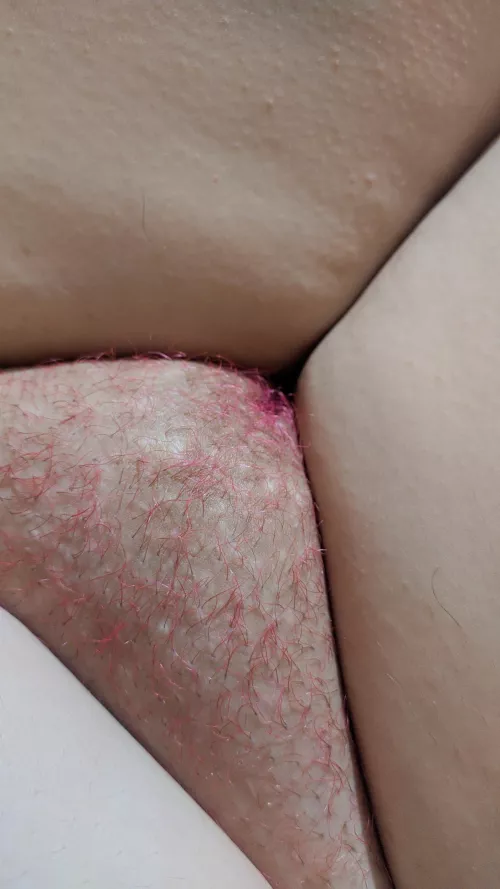 Can't wait to turn it a pink forest by Martinamuller