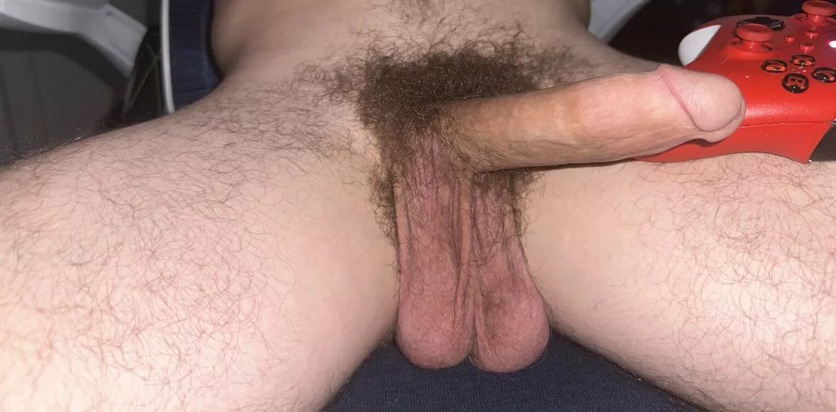 Hanging nuts posted by urbrobrayden