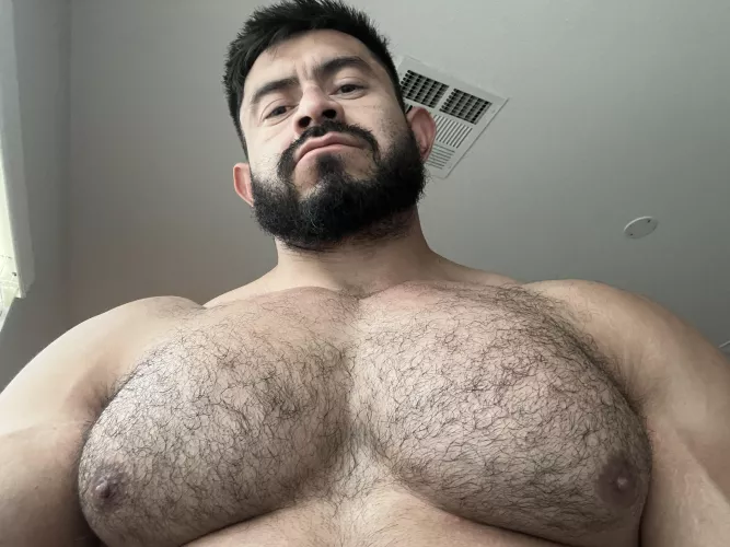 Keeping it growing. 💪🏼 by mateomuscle69