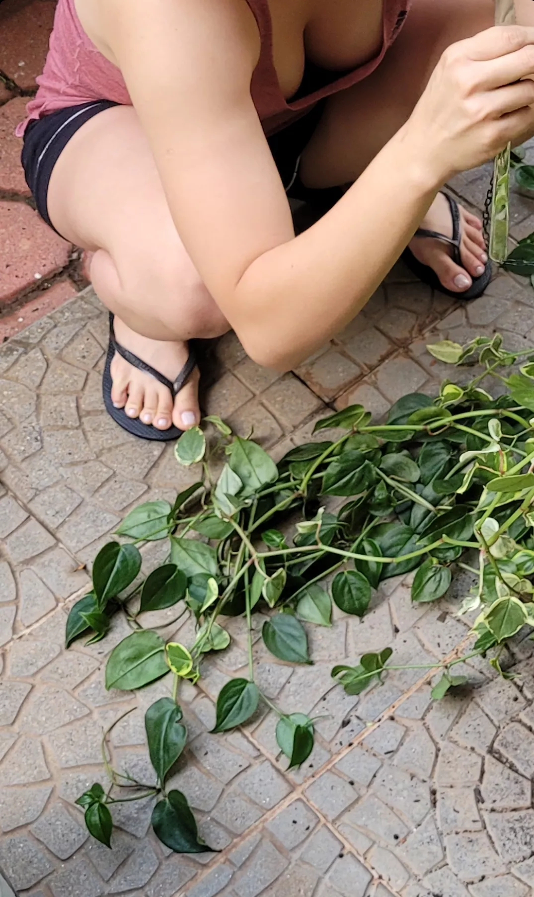 So you got an opportunity to look at me from a good point of view. You would need a really good excuse to just stand there! posted by feetandsurprises