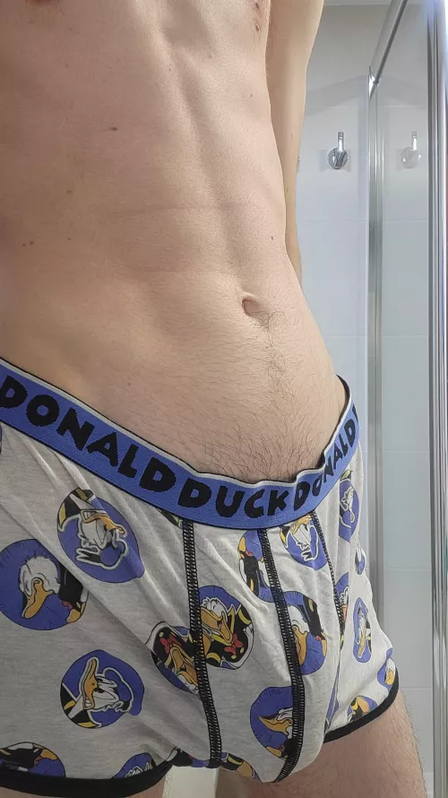 Duck Donald by TeaLiving3058