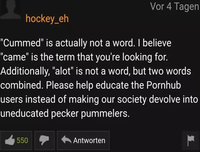 Found this Grammer Nazi on pornhub by SoberElitism92