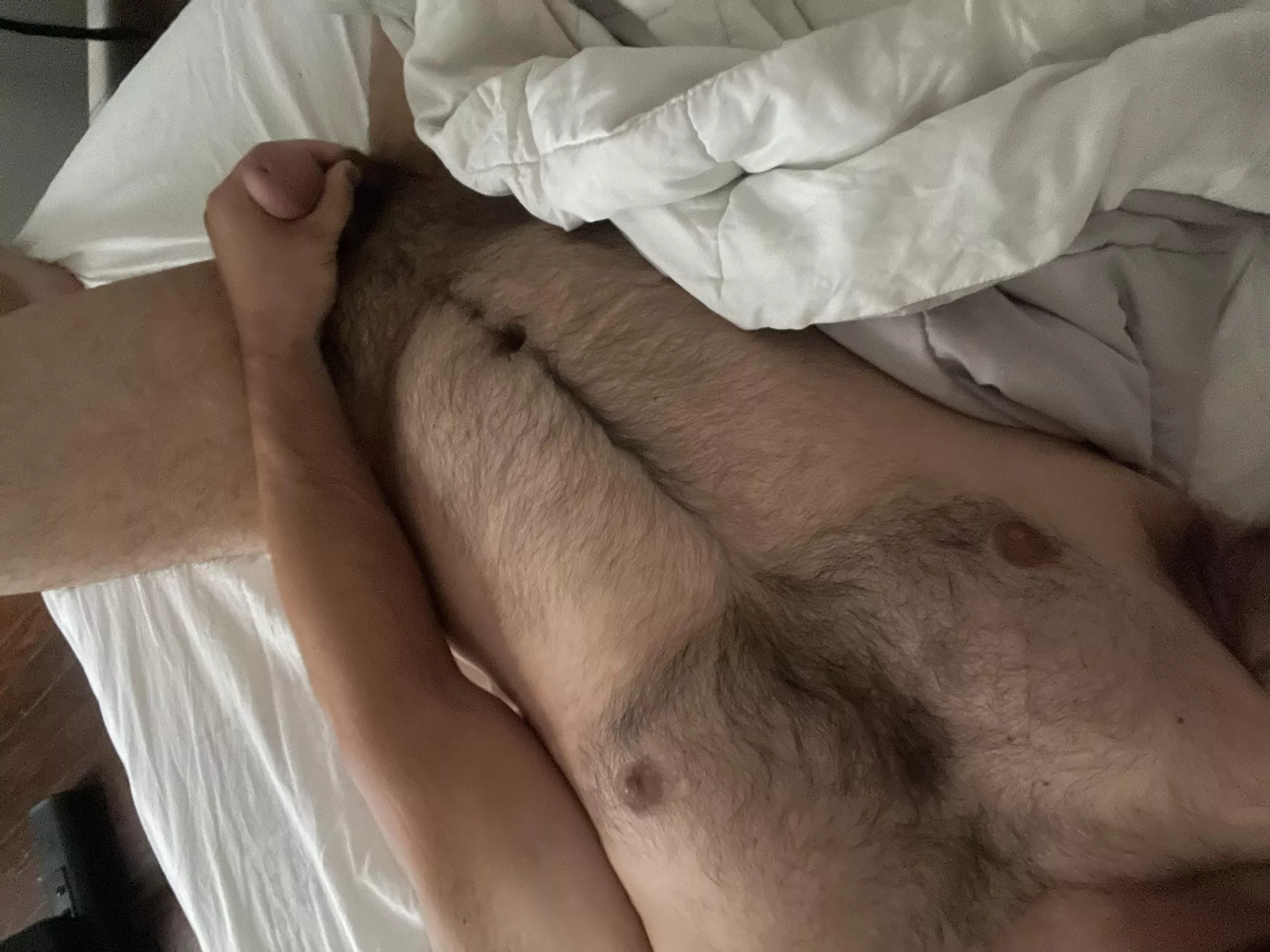 Hairy enough for ya? posted by BenefitPlenty2629