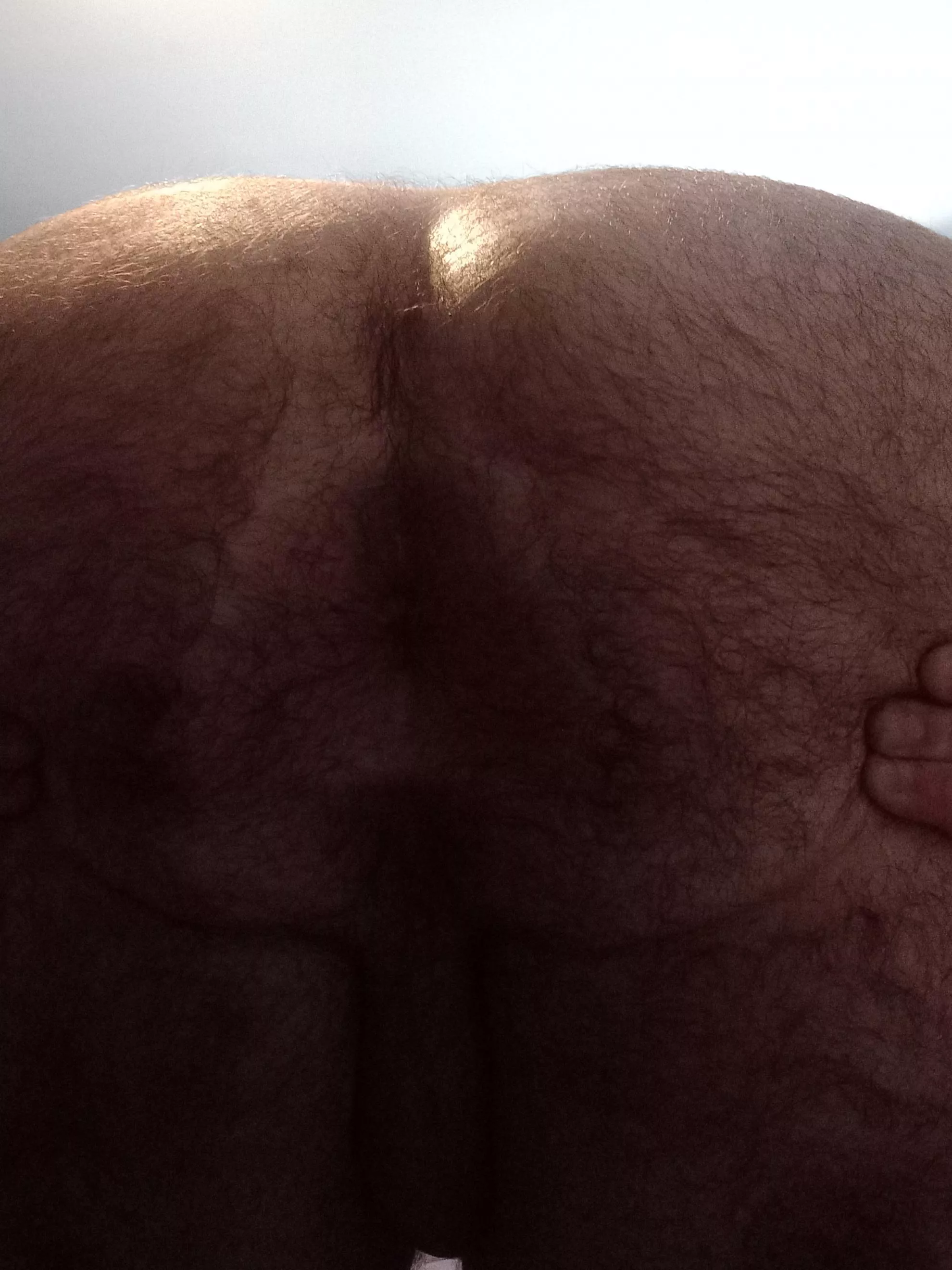 hirsute and sweaty after workout ass posted by TooPretty4Prison