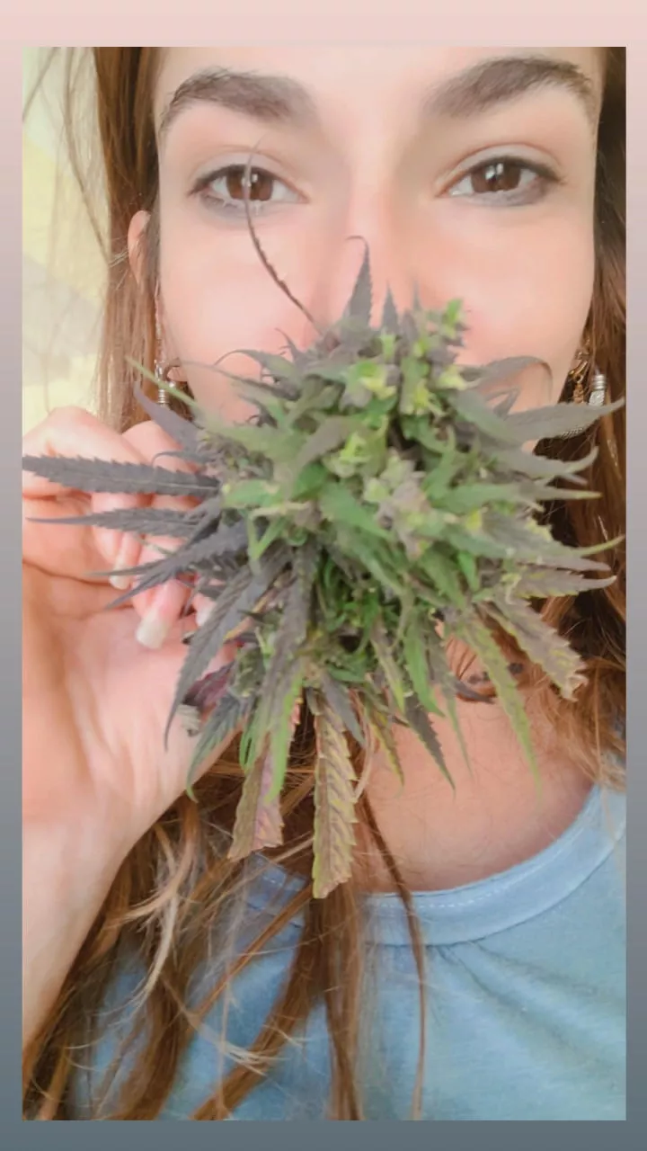 Let's smoke a little of what nature gives us posted by siasweet