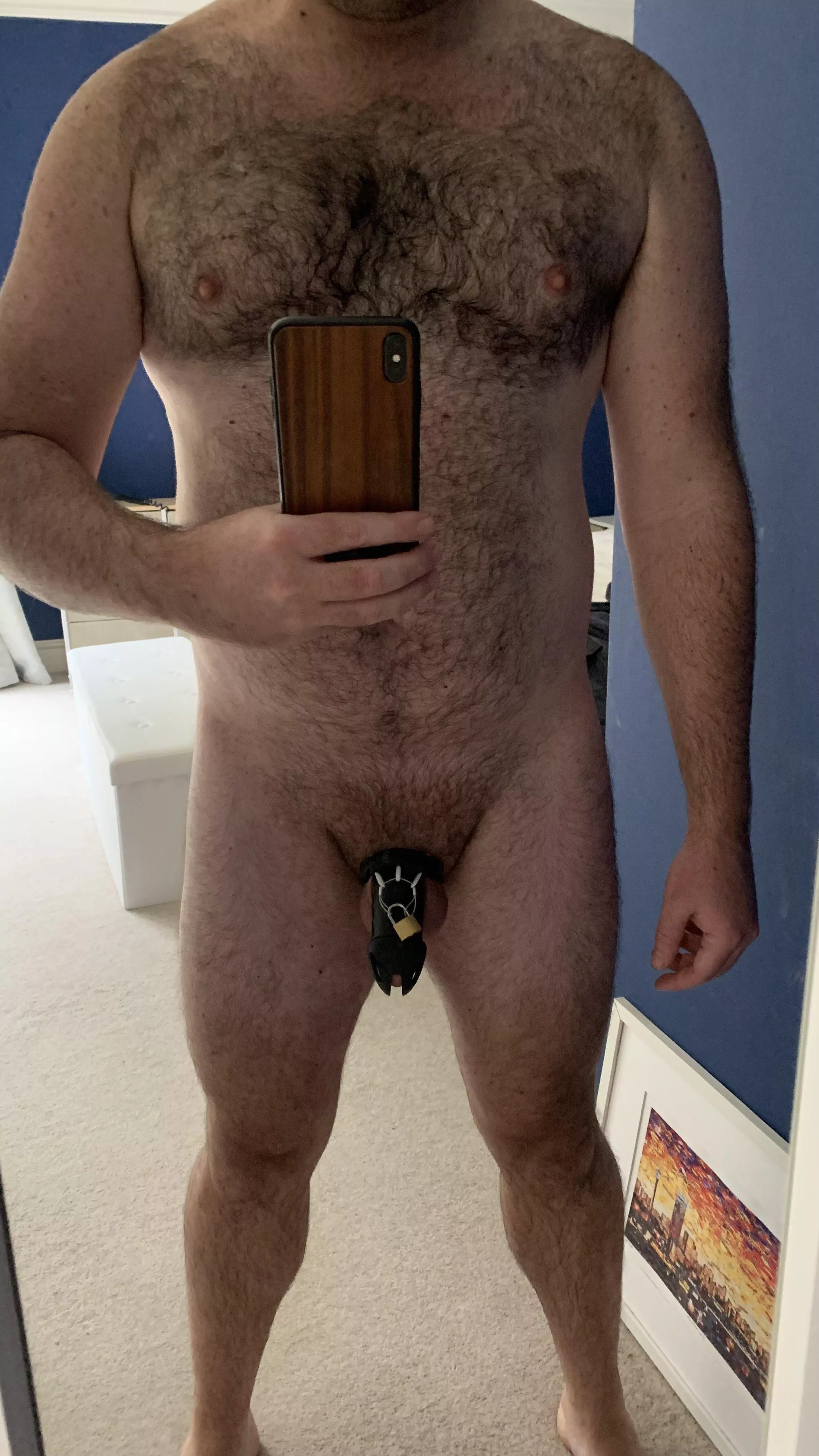 [32] Would a closet sub starting his journey into pup play interest you in some chat? How about putting me in chastity and placing a collar around my neck? posted by HuskySubPup