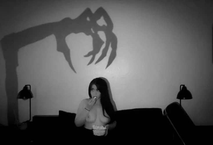 Bump in the night. by FaunaOfMirrors