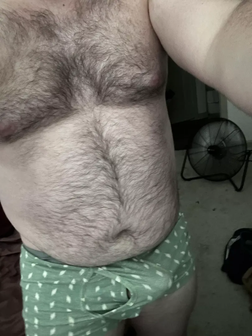 I think these briefs are cute, dm if you agree? ☺️ posted by biandchubby