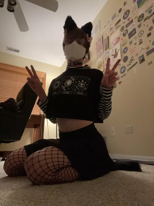 My first time as a catboi :3! Go easy on me 😆 by NectarineFit9673