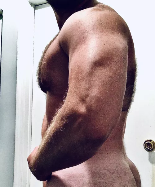 The back matches the chest by chepuey