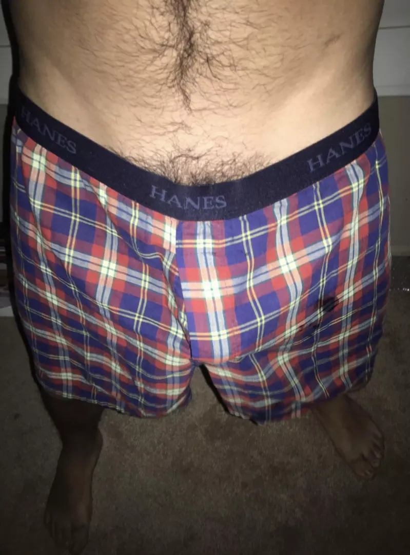 These boxers make me so horny 🥵 posted by Ok_Incident9327