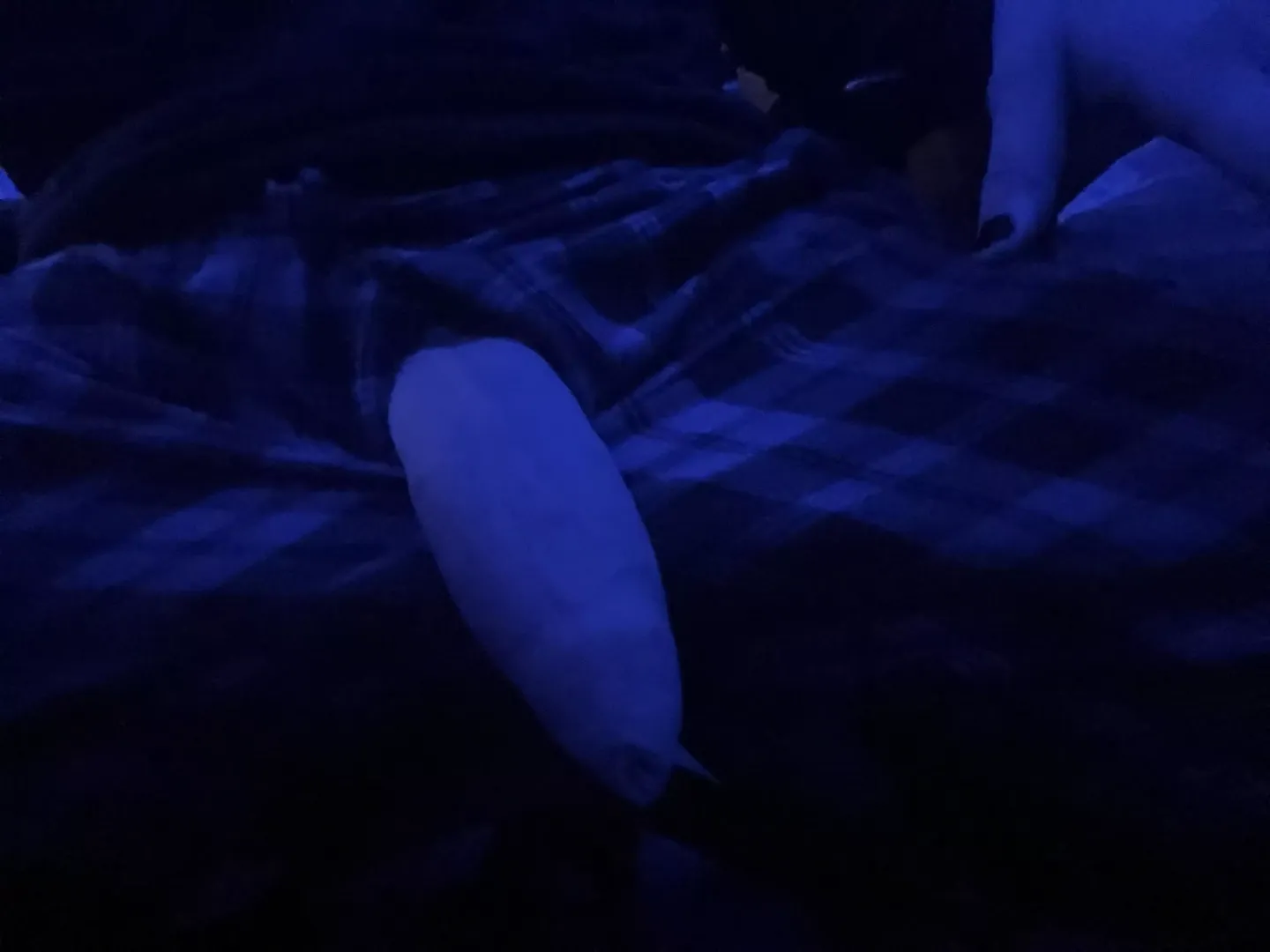 You look over and see me sitting like this. Wyd posted by 6foot7fromdetroit
