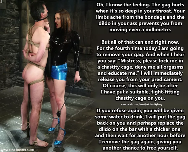 You've said no three times, will you say yes this time? by justchastityblog