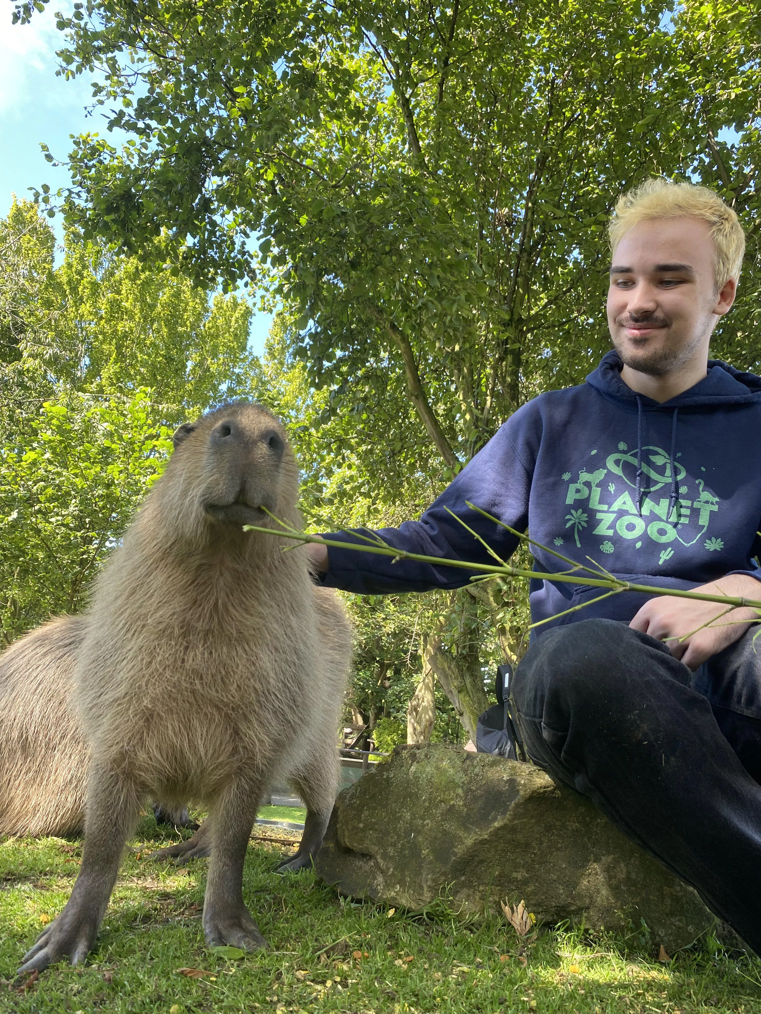 Got to pet and feed capybara today posted by smarticuno