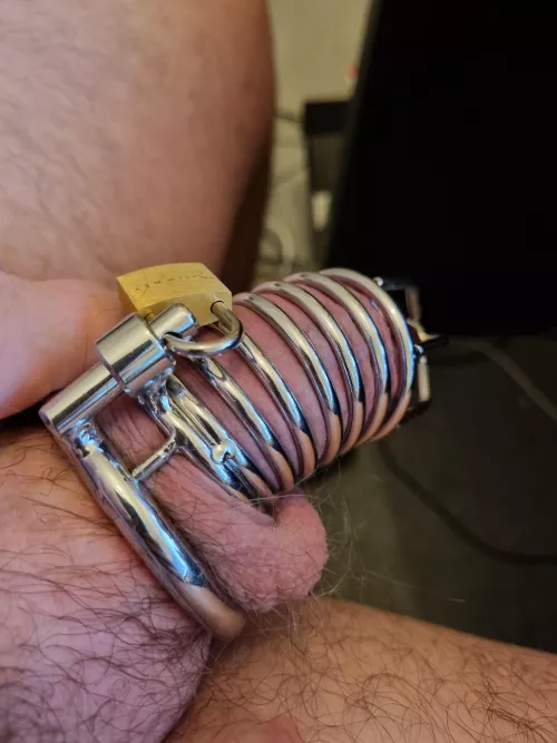 My first cage by Smooth_Hat799