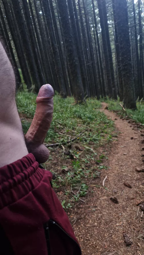 Showing you the way by raym2