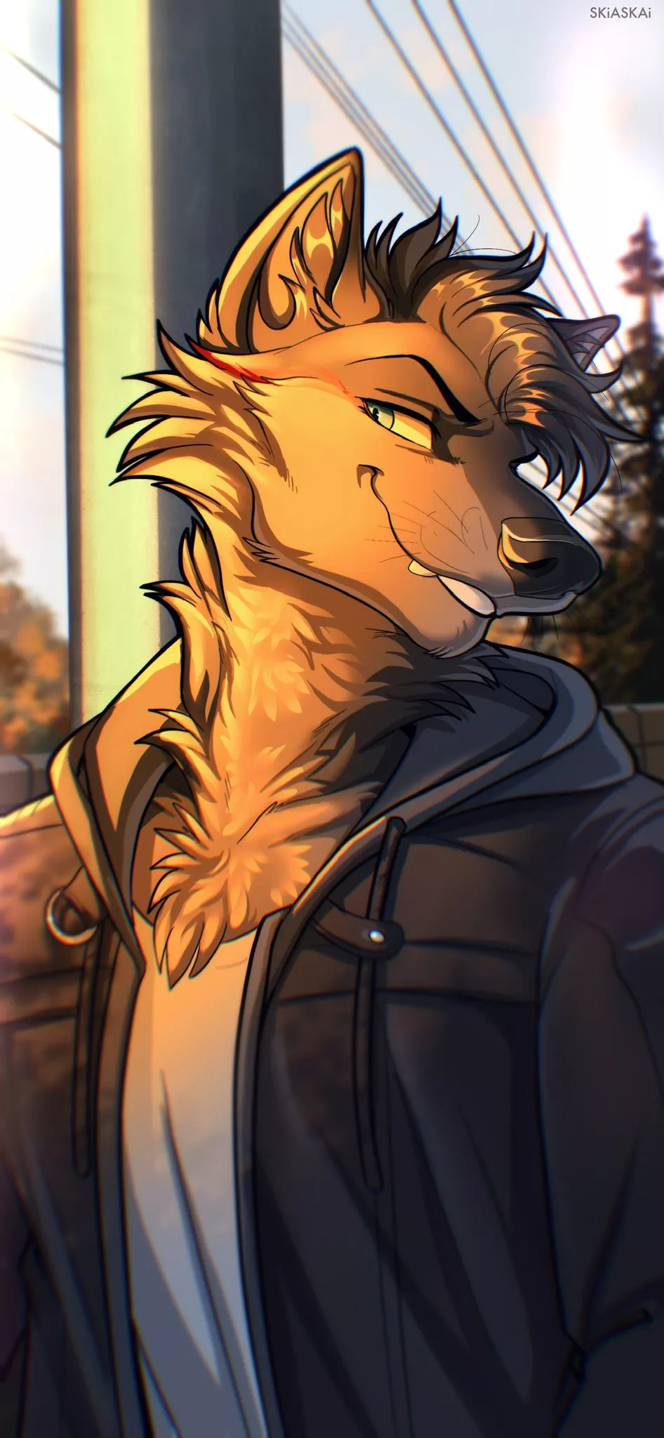 Sunrise Wolf [SkiaSkai] posted by DL2828