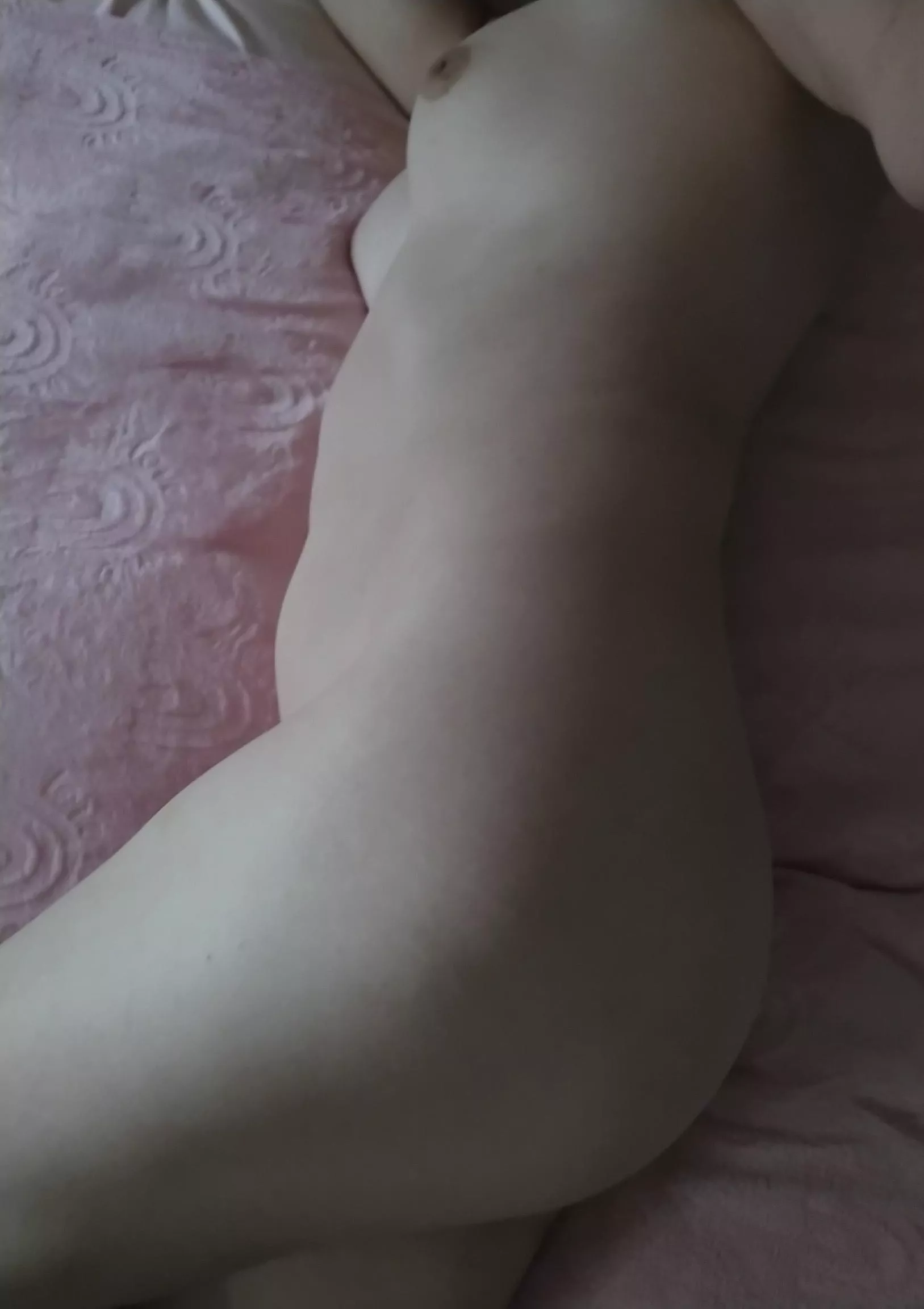 The morning light was so soft and happy today posted by dianespinkflower2