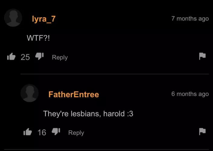 They’re lesbians, Harold :3 by EffectiveRespond2795