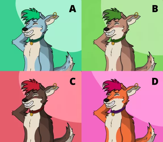 Which color is the best for Lucca? by LuccaTheDoggy