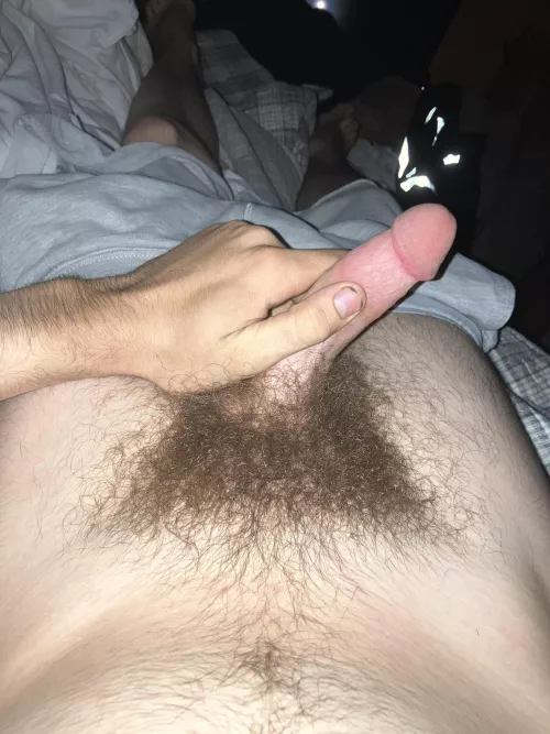 [18] hope this fits here by Longjumping-Newt9934