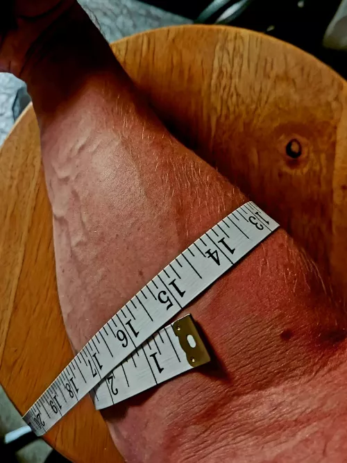 Big or small? by pauliechips