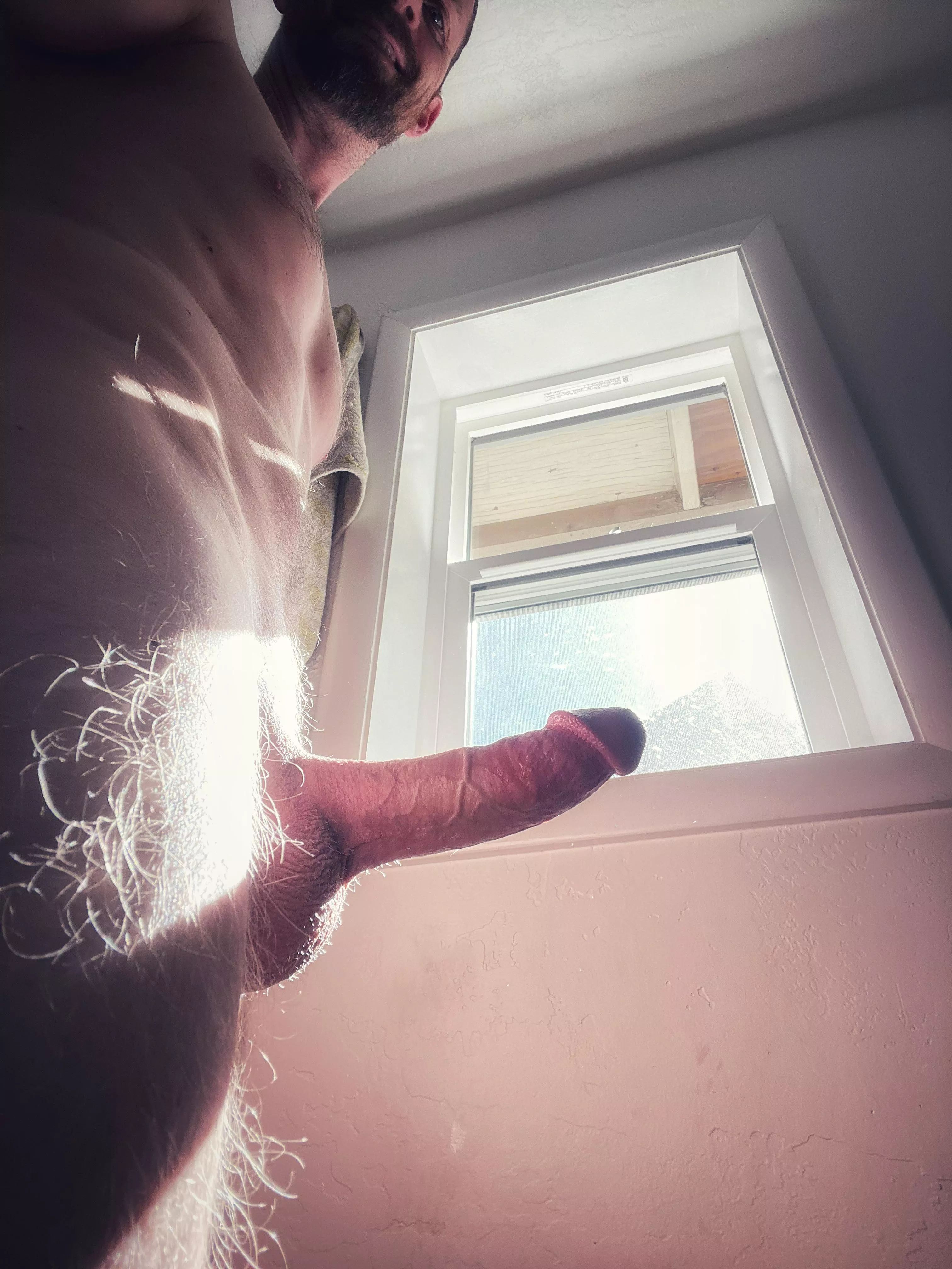 Do you look into windows on your walk? posted by neverready13