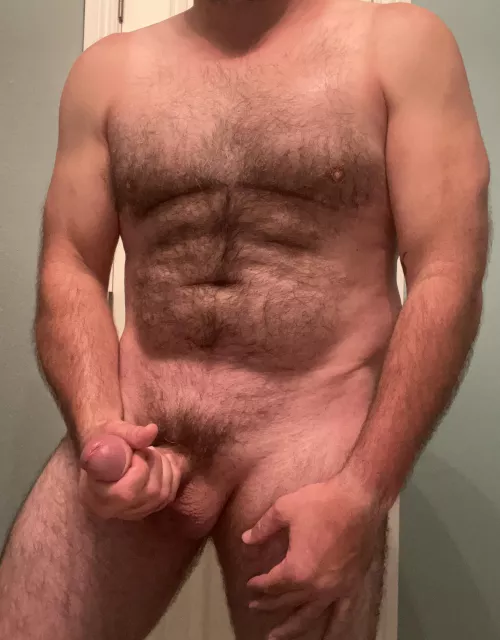 Have a beary good one, y’all by Sidecar_rockstar