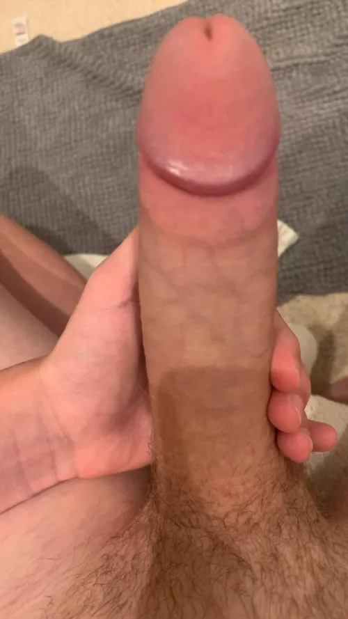 I’m so horny and i’m a young boy message me for more 😈 by No-Reading2723
