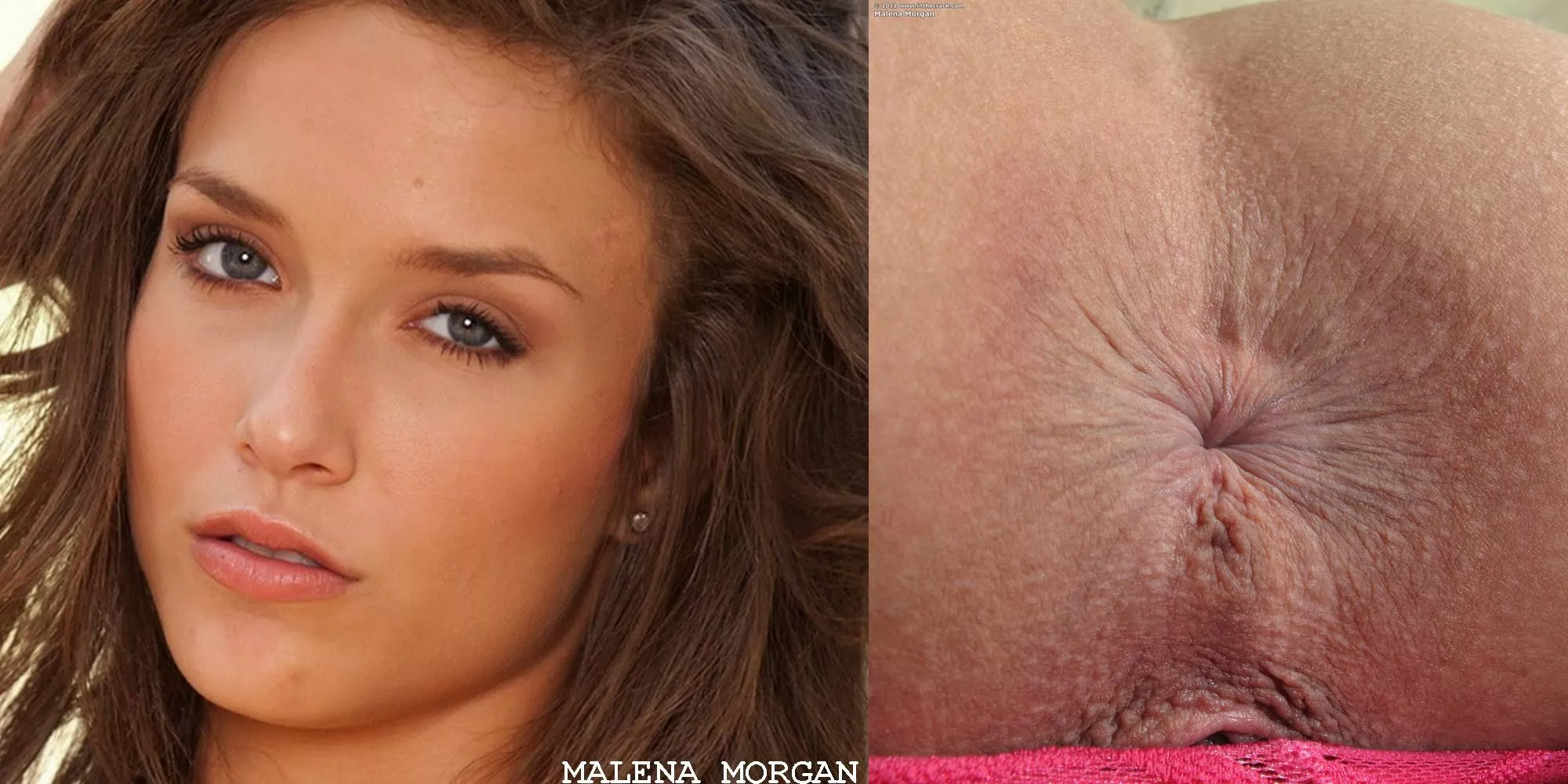 Malena Morgan 4 posted by PaulLegendar