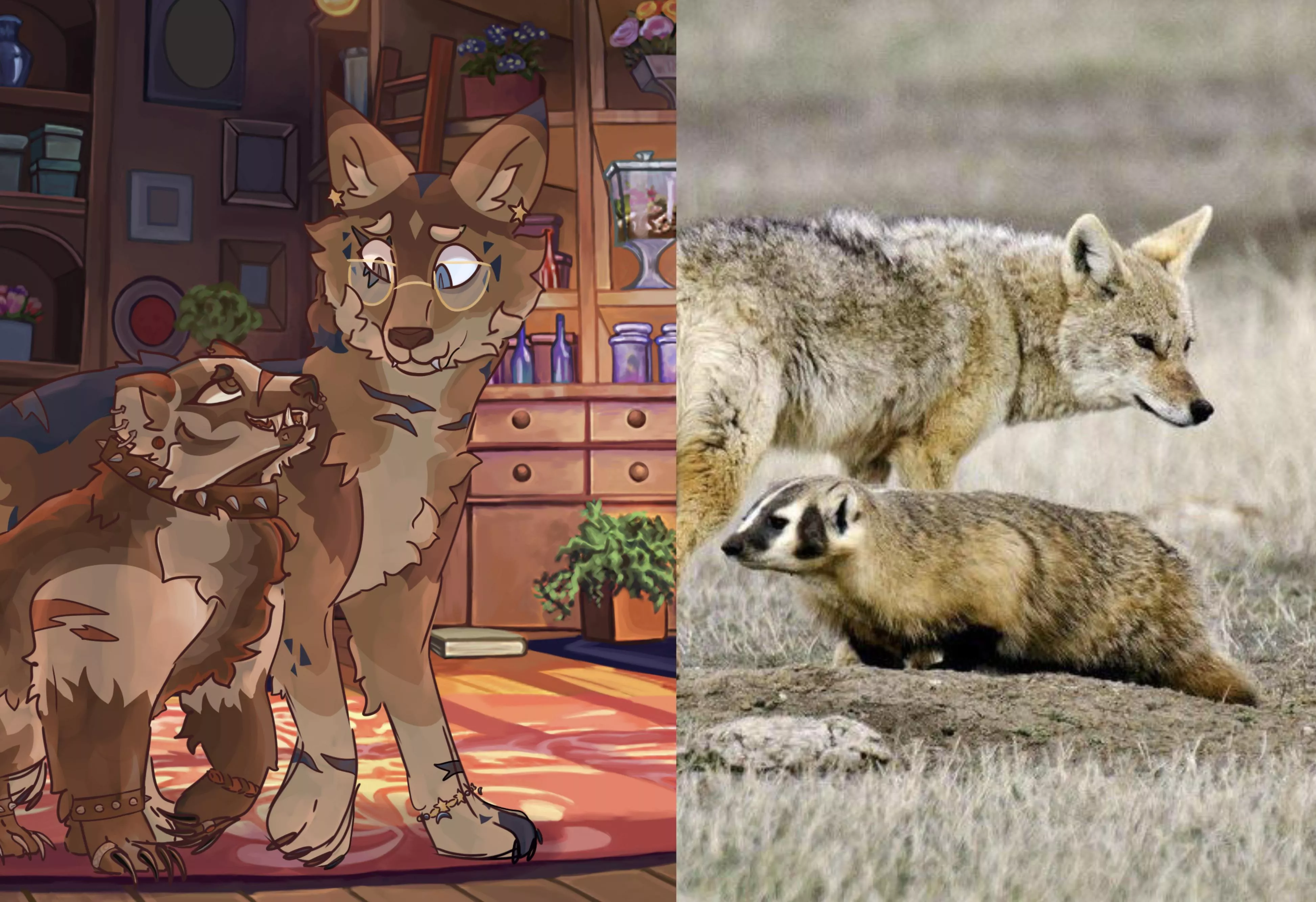 My boyfriends sona is a badger, and mines a coyote! posted by mi1kyways