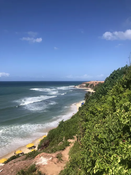 Pipa by MistressCloud