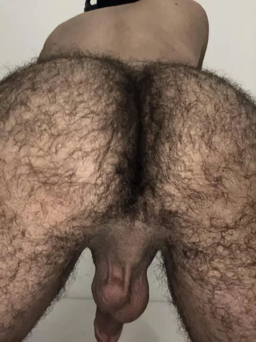 suck it from the back by sniff3n