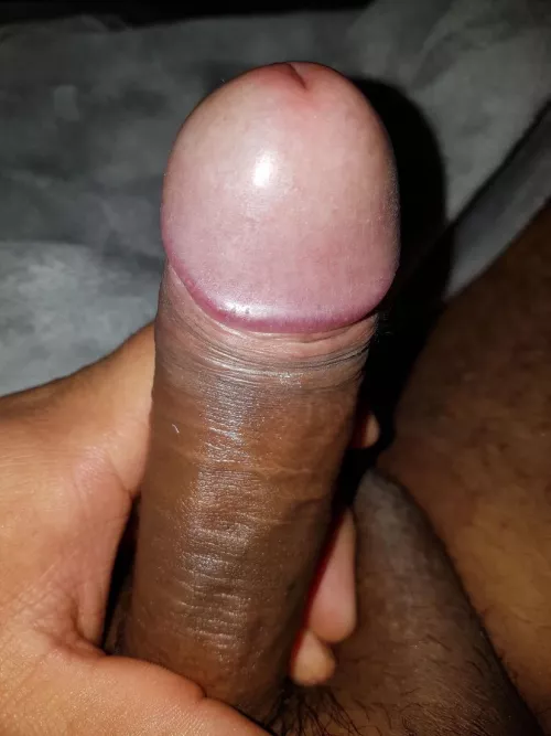 Trade ? by CertainAd965