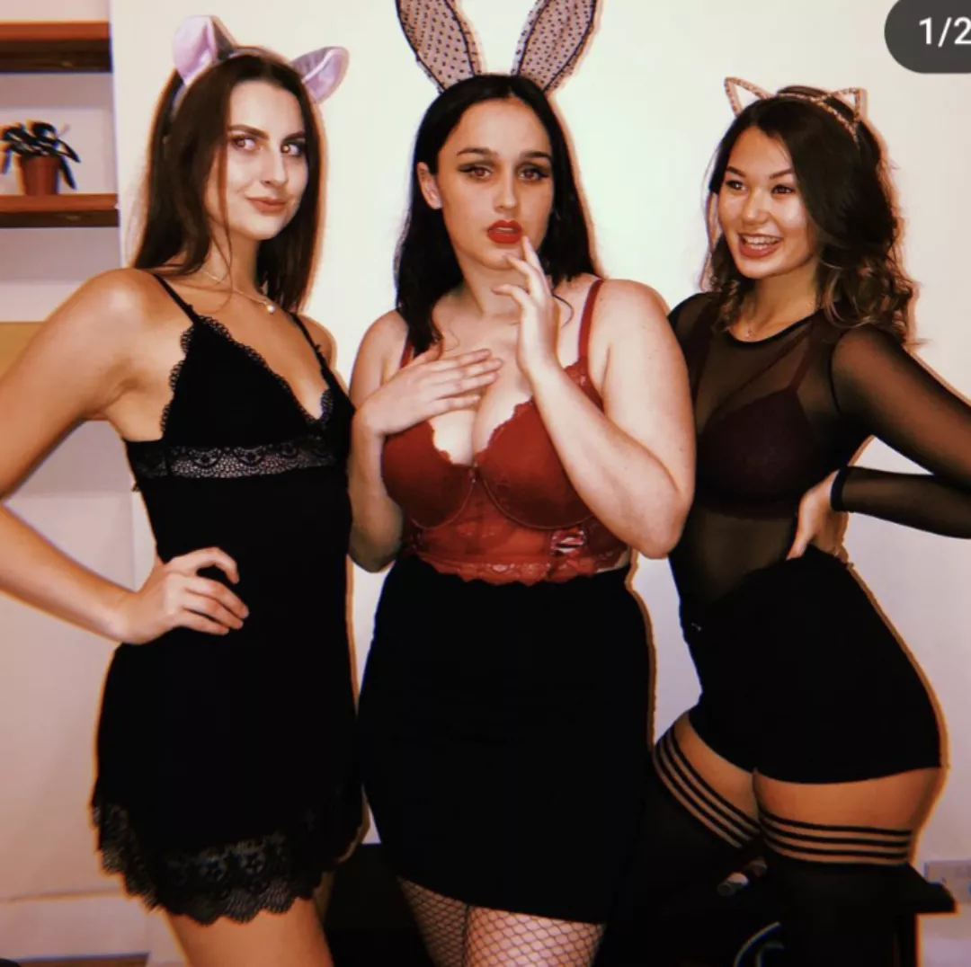 Rabbits posted by sailupdownwind