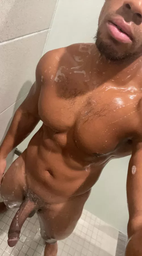 30M Experienced BBC Bull with a lot of stamina and skill by bbernard951