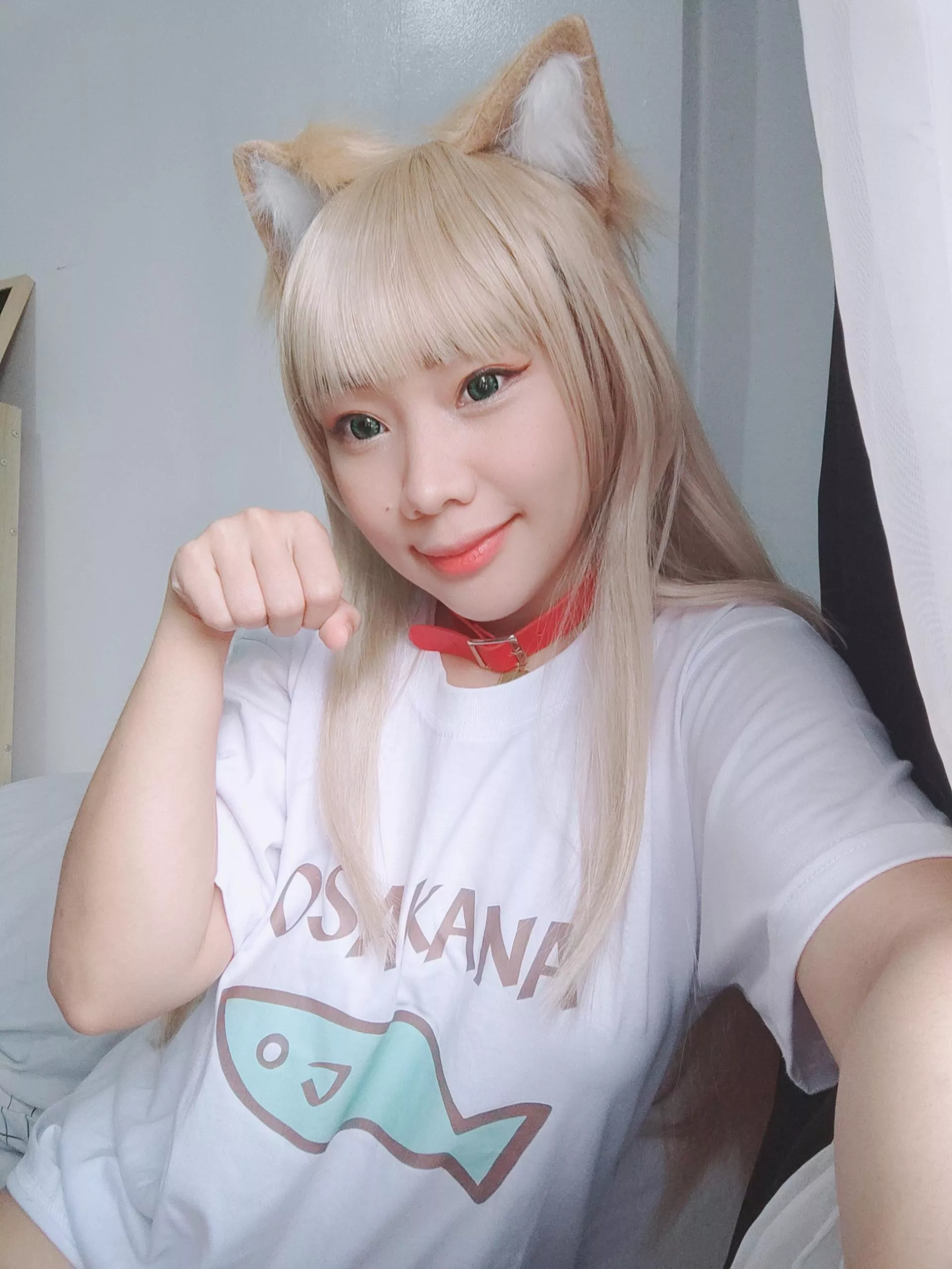 Can you teach this neko on how to behave? posted by JadedDepartures