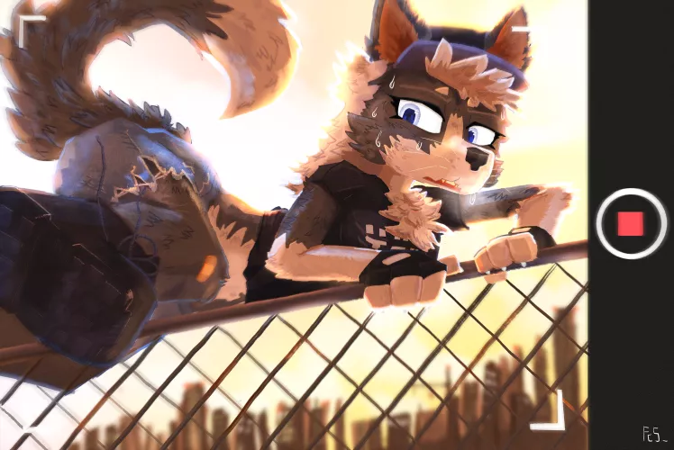 Cross the fence [Original] by CollieStalks