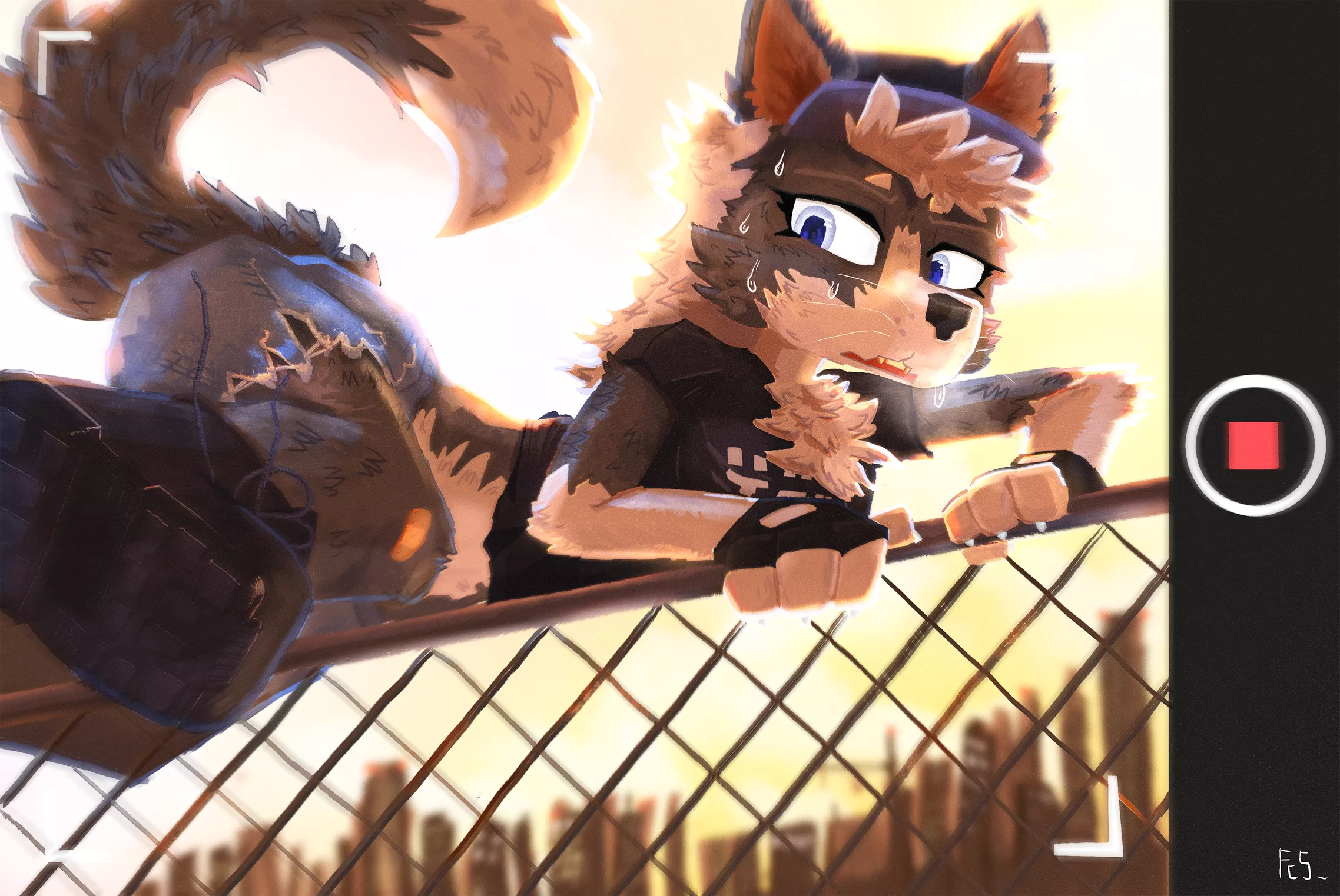 Cross the fence [Original] posted by CollieStalks